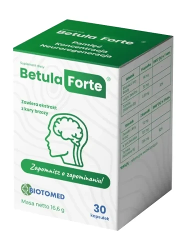 betula1++.webp